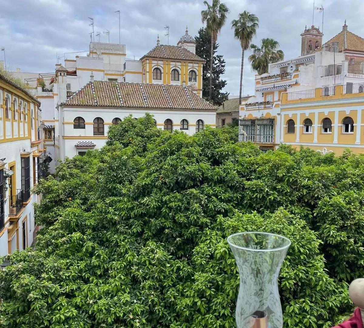 Apartamento Plaza De Dona Elvira Alcazar Seville Apartment